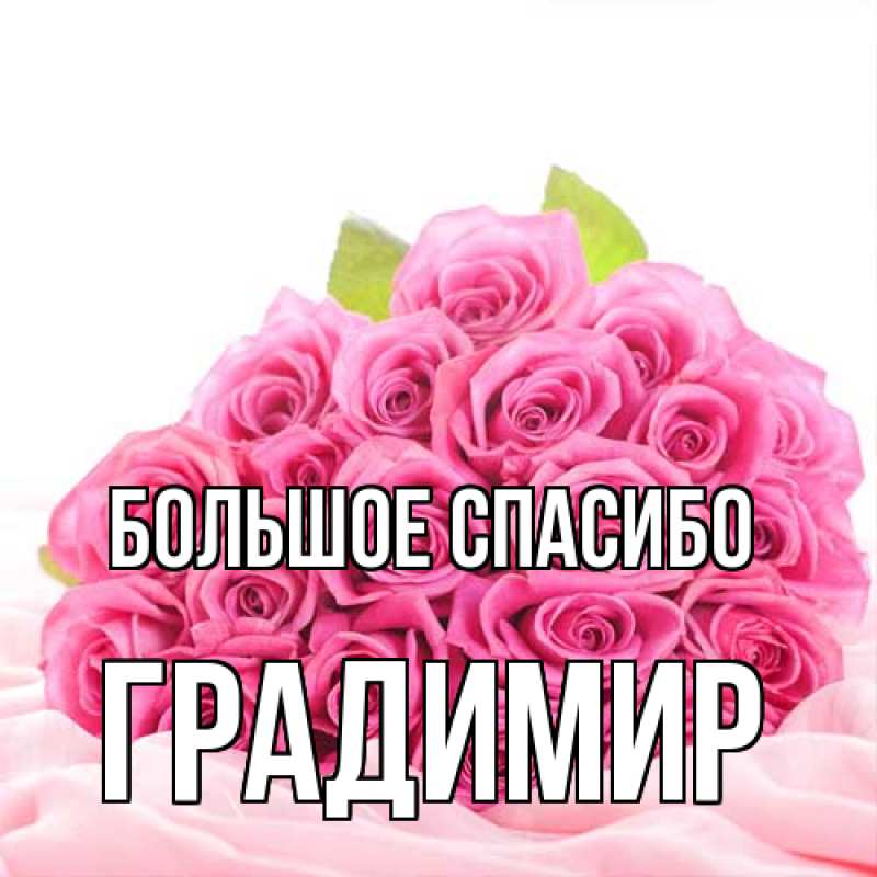Картинка Большое спасибо, Градимир