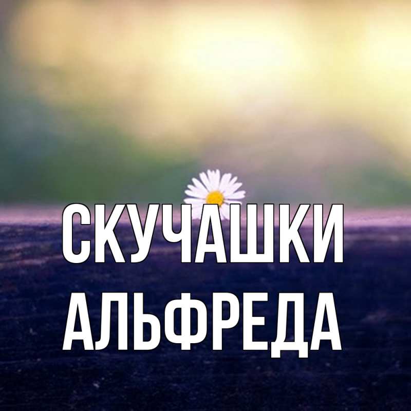 Картинка Скучашки, Альфреда