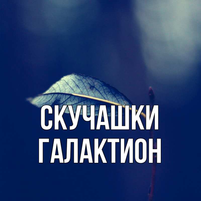 Картинка Скучашки, Галактион