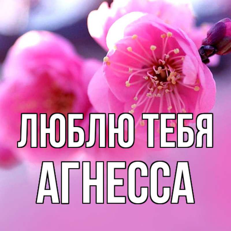 Картинка Люблю тебя, Агнесса