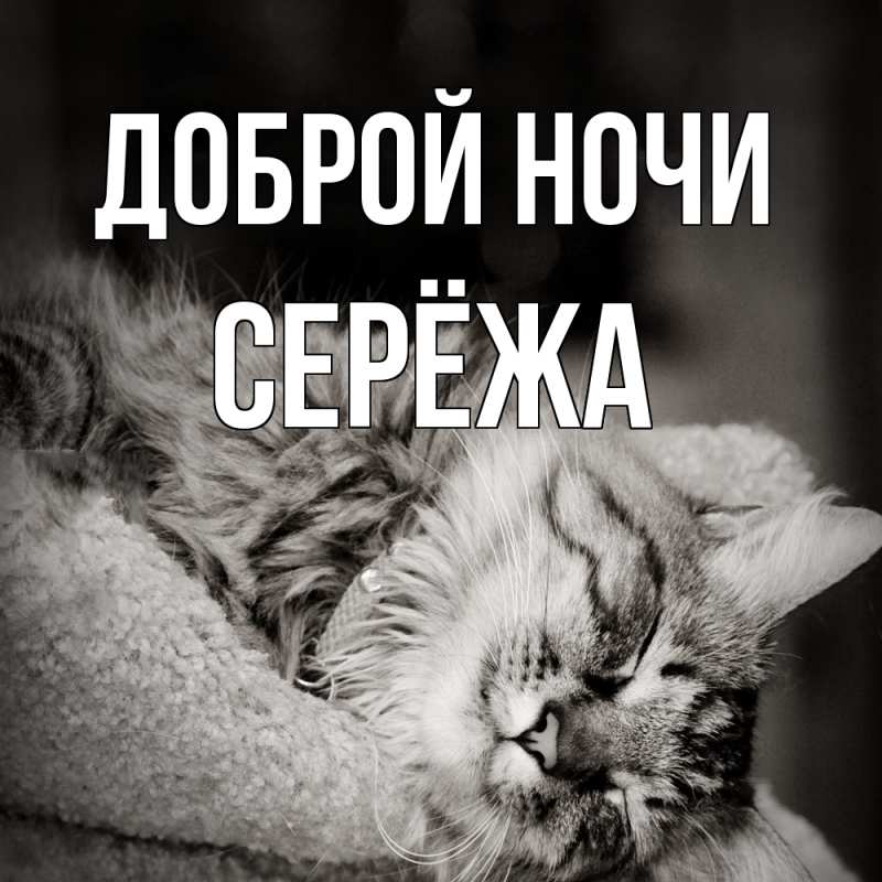 Картинка Доброй ночи, Серёжа