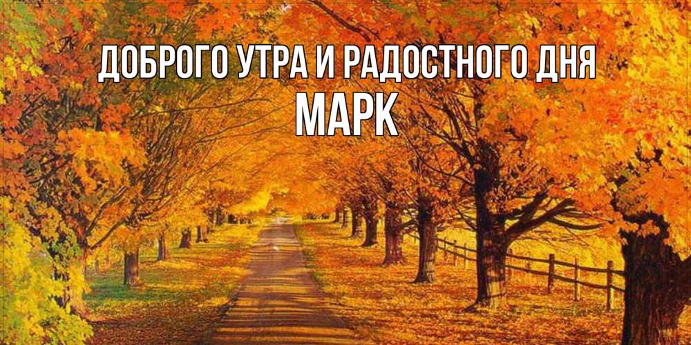 Открытка на каждый день с именем, Марк Доброго утра и радостного дня деревья с осенними листьями Прикольная открытка с пожеланием онлайн скачать бесплатно 