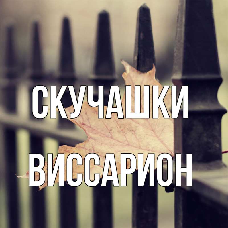 Картинка Скучашки, Виссарион