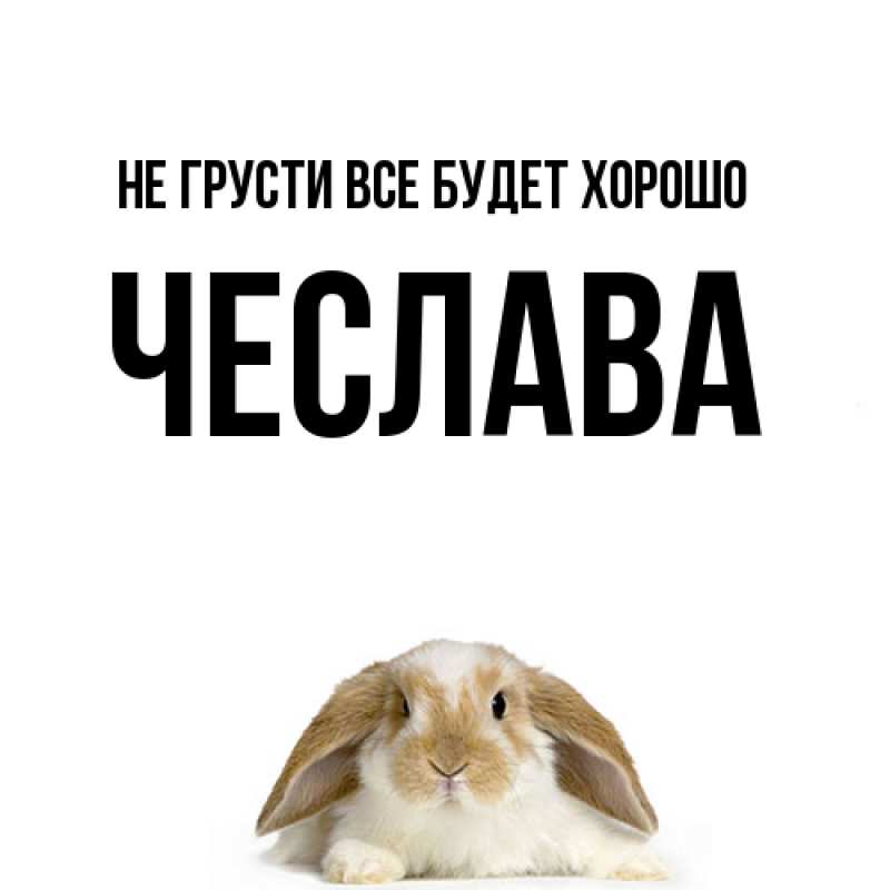 Открытка с именем, Чеслава, Не грусти все будет хорошо