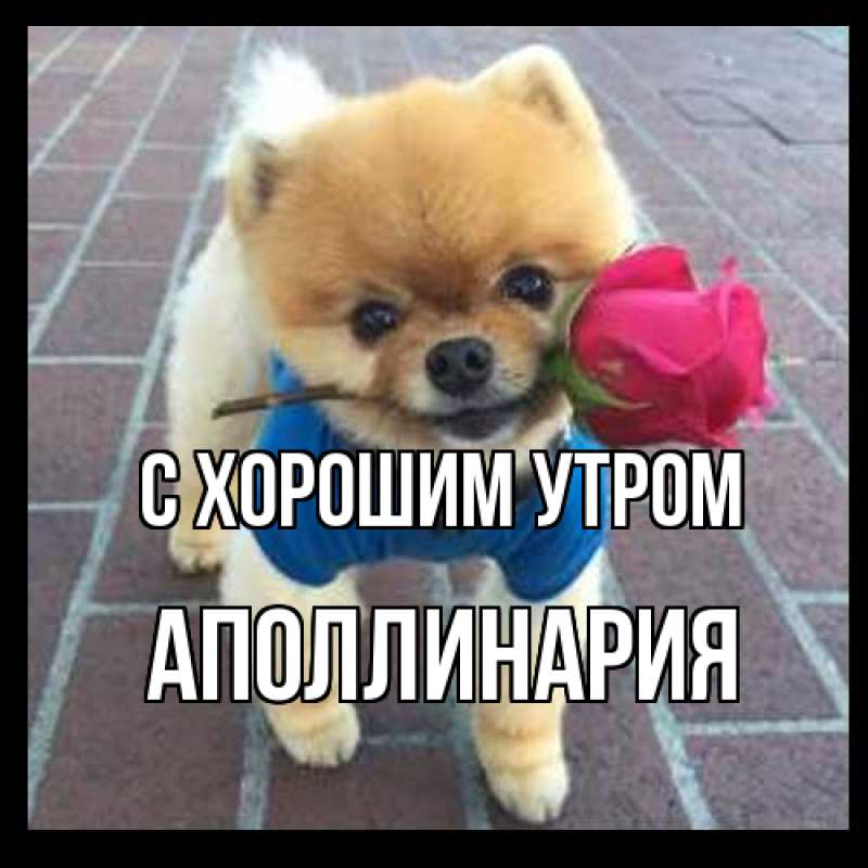 Картинка С хорошим утром, Аполлинария