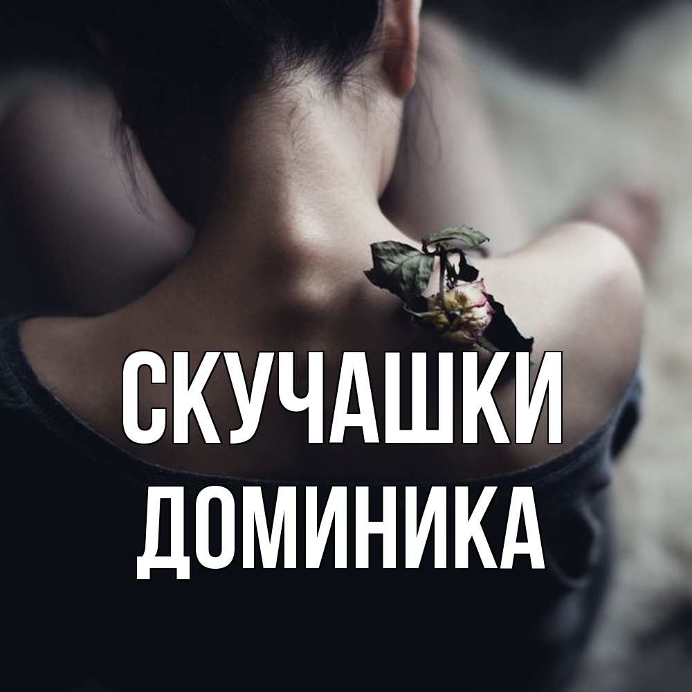 Открытка на каждый день с именем, Доминика Скучашки засох цветок Прикольная открытка с пожеланием онлайн скачать бесплатно 