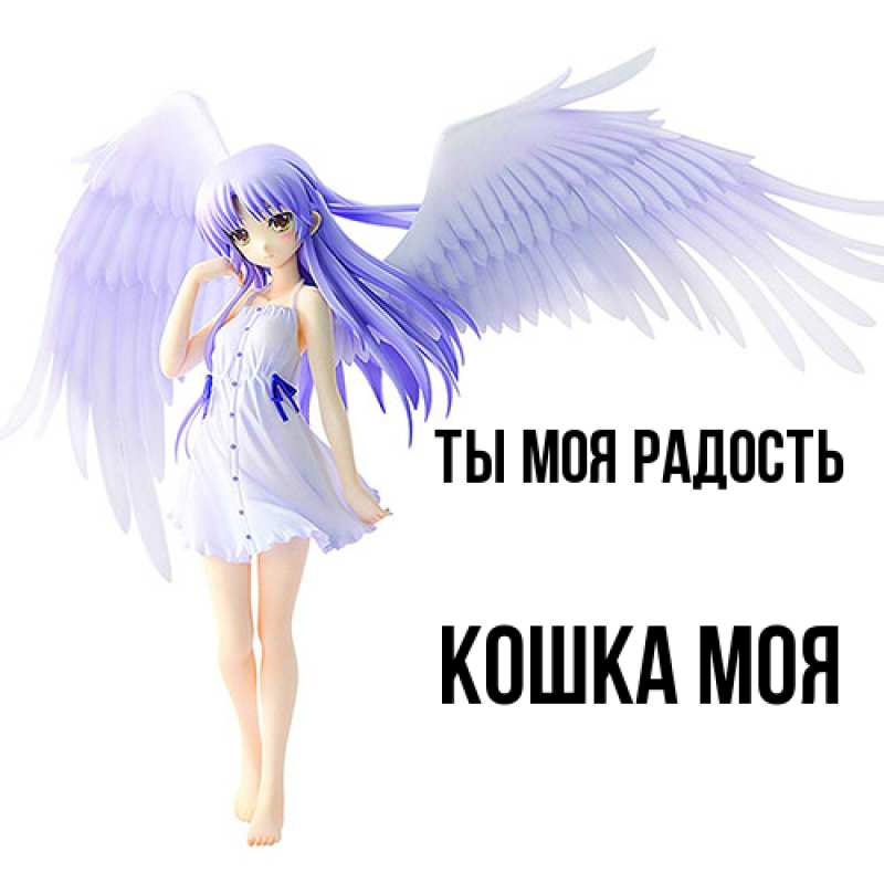 Картинка Ты моя радость, Кошка моя