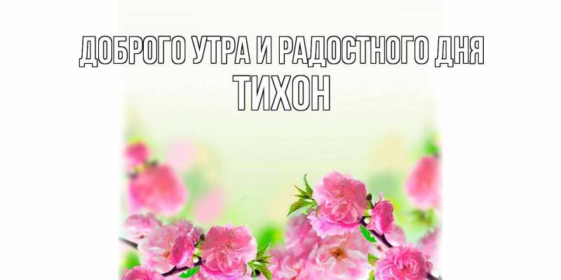 Картинка Доброго утра и радостного дня, Тихон