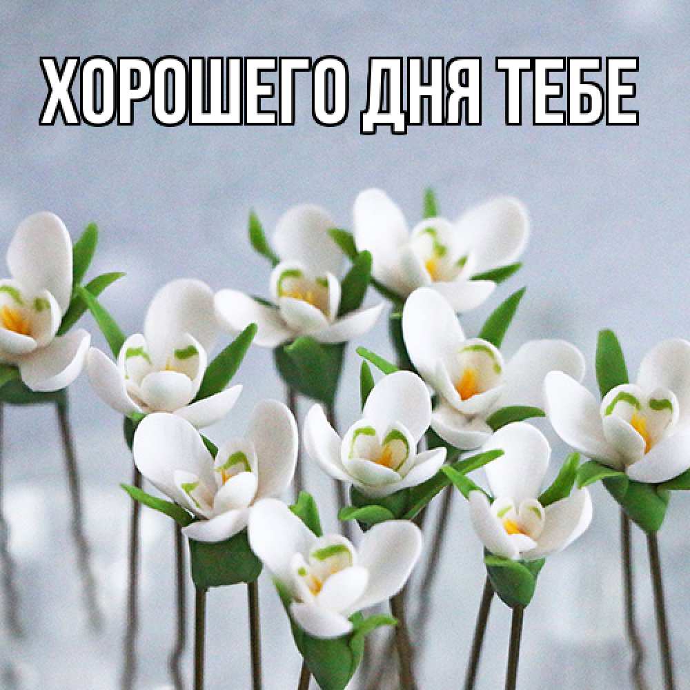 Открытка на каждый день с именем, Родной Люблю тебя весенние цветы Прикольная открытка с пожеланием онлайн скачать бесплатно 