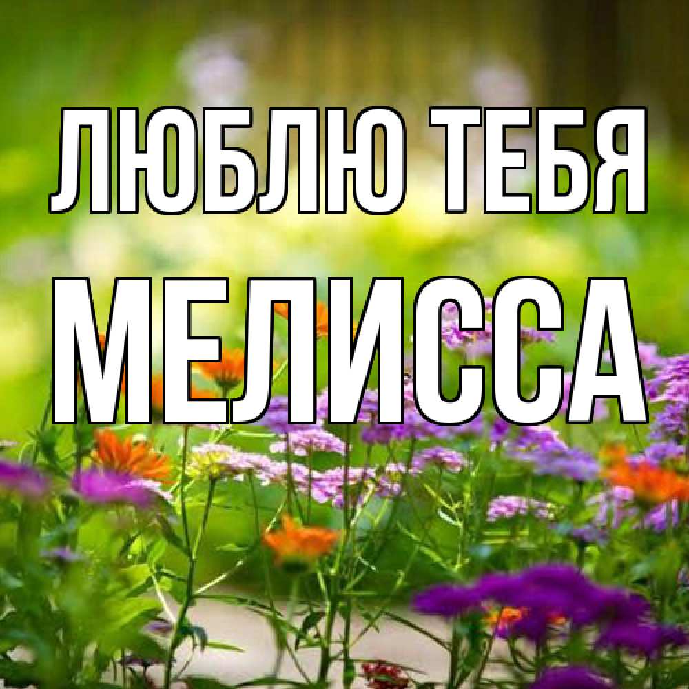 Открытка на каждый день с именем, Мелисса Люблю тебя цветы Прикольная открытка с пожеланием онлайн скачать бесплатно 