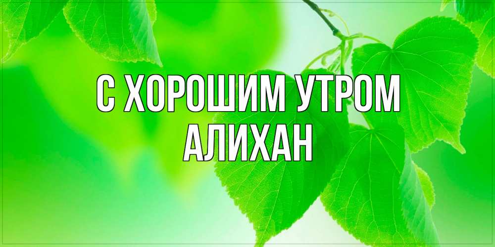 Открытка на каждый день с именем, Алихан С хорошим утром доброе утро с березовыми листьями Прикольная открытка с пожеланием онлайн скачать бесплатно 