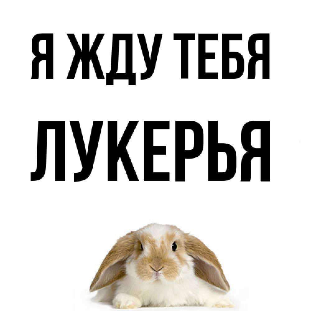 Открытка на каждый день с именем, Лукерья Я жду тебя подписать своими руками онлайн Прикольная открытка с пожеланием онлайн скачать бесплатно 