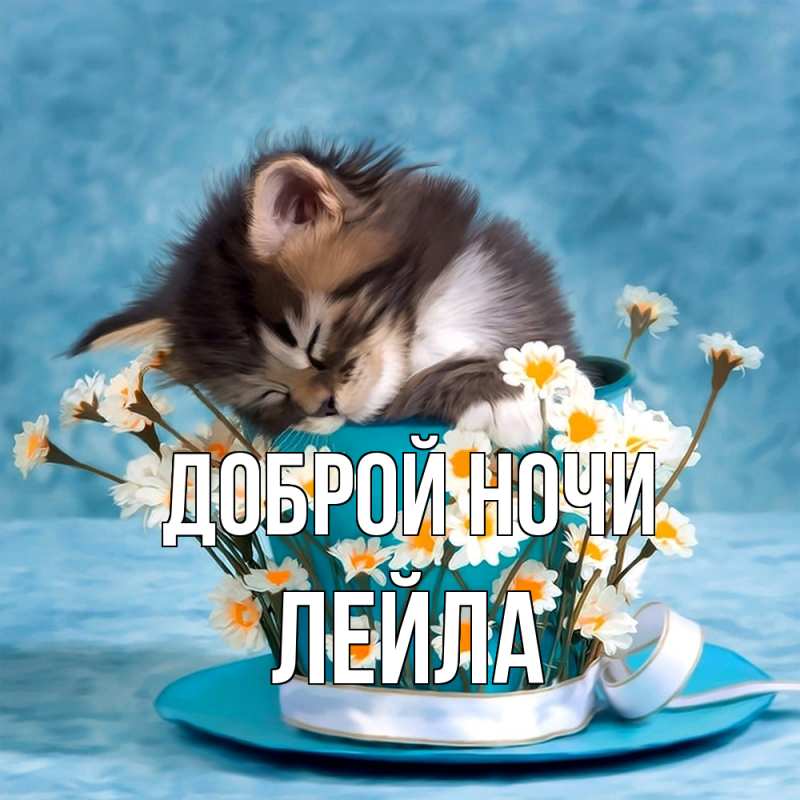 Картинка Доброй ночи, Лейла