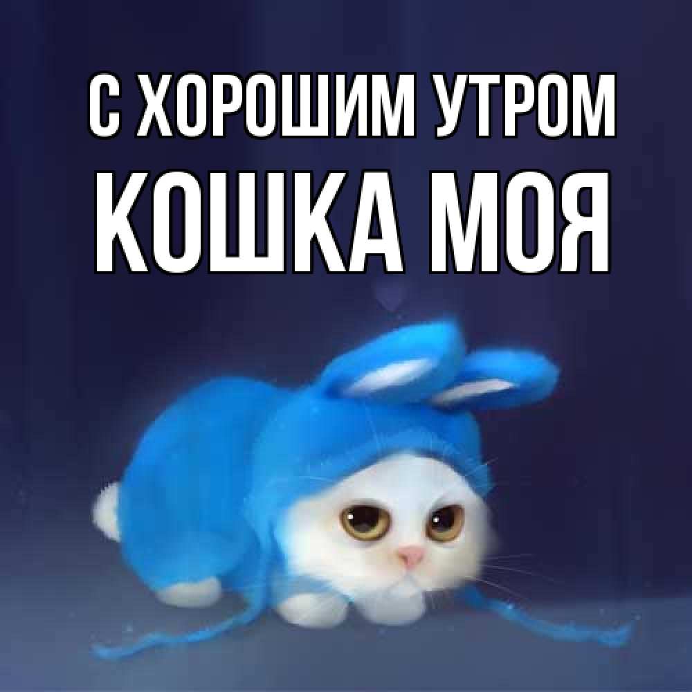 Открытка на каждый день с именем, Кошка-моя С хорошим утром открытки красивые скачать бесплатно Прикольная открытка с пожеланием онлайн скачать бесплатно 