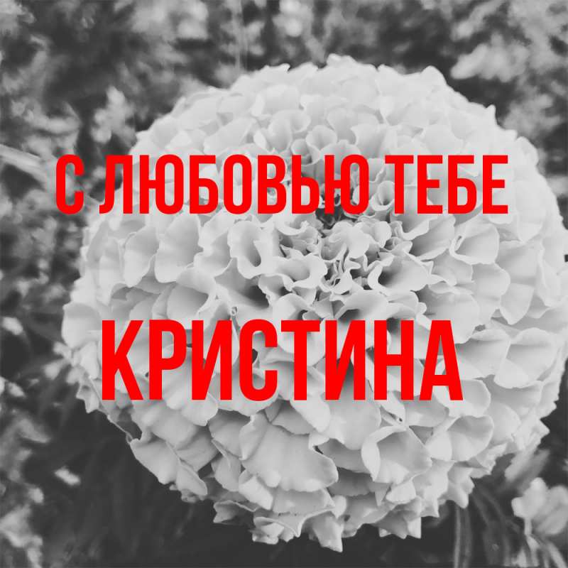 Картинка С любовью тебе, Кристина