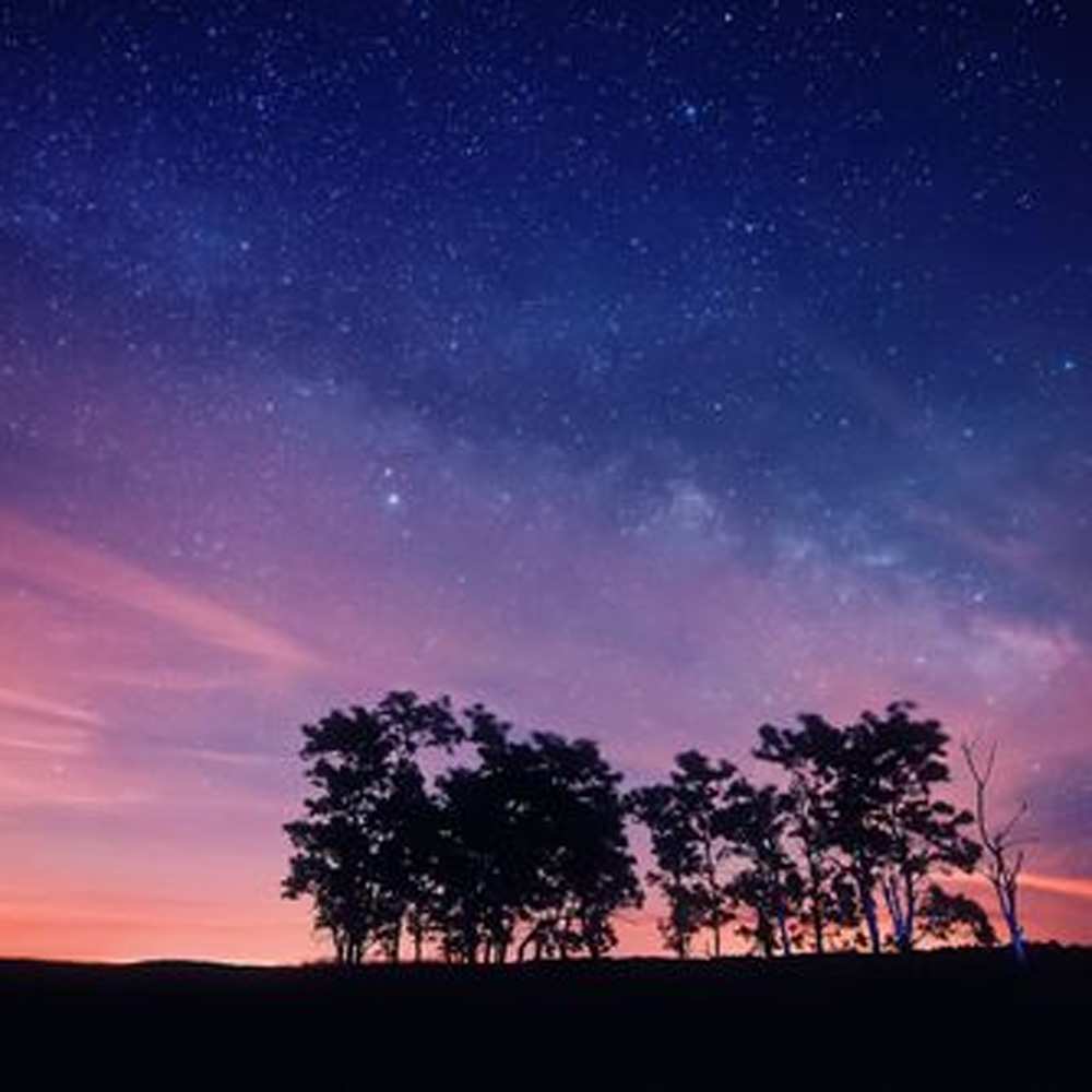 Открытка на каждый день с именем, Галактион Обнимашки силуэты деревьев Прикольная открытка с пожеланием онлайн скачать бесплатно 