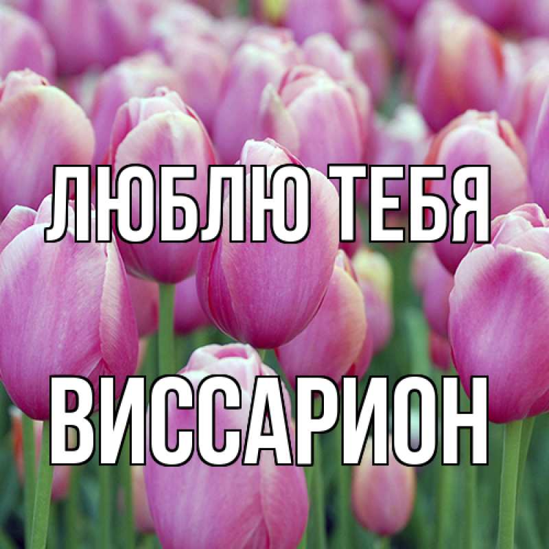 Открытка с именем, Виссарион, Люблю тебя