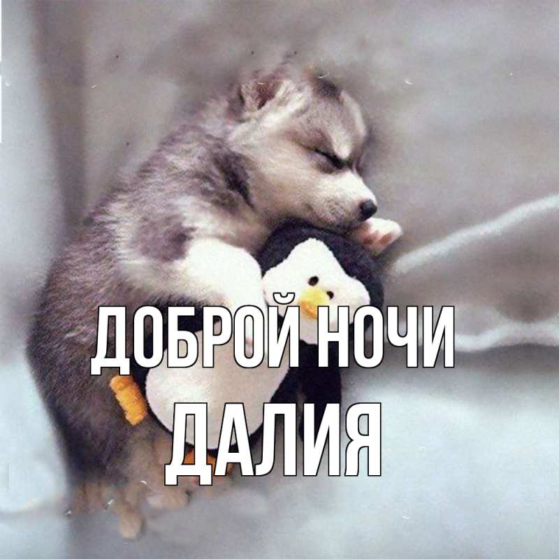 Картинка Доброй ночи, Далия