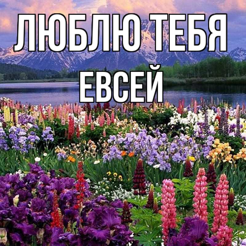 Открытка с именем, Евсей, Люблю тебя