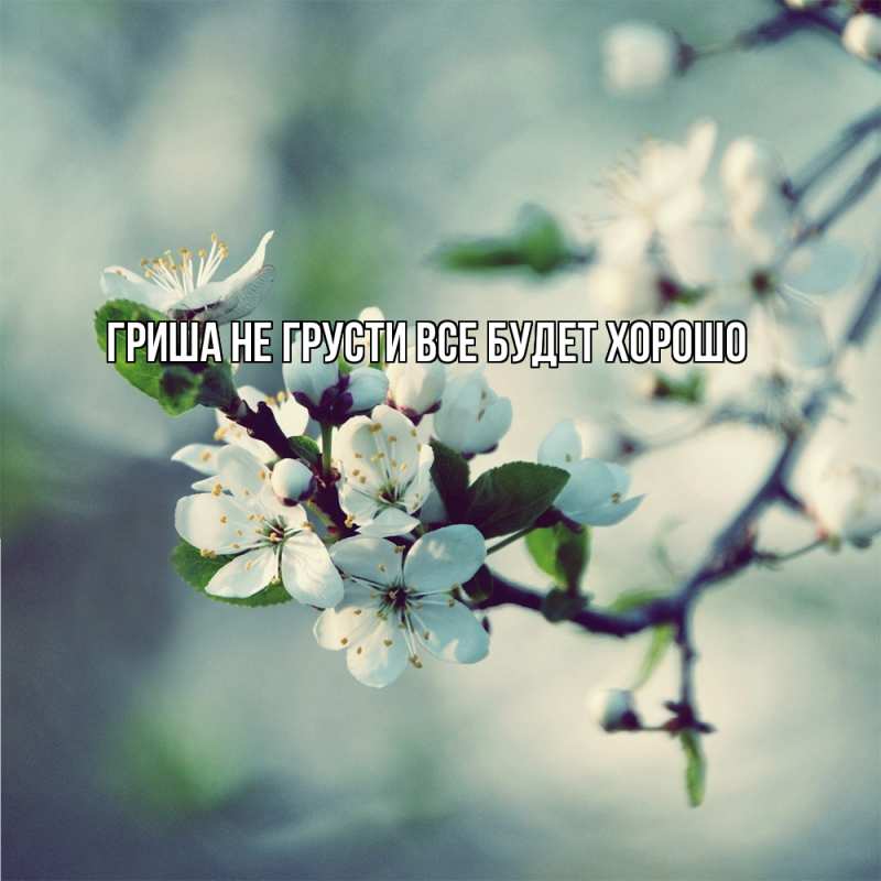 Картинка Не грусти, все будет хорошо, Гриша