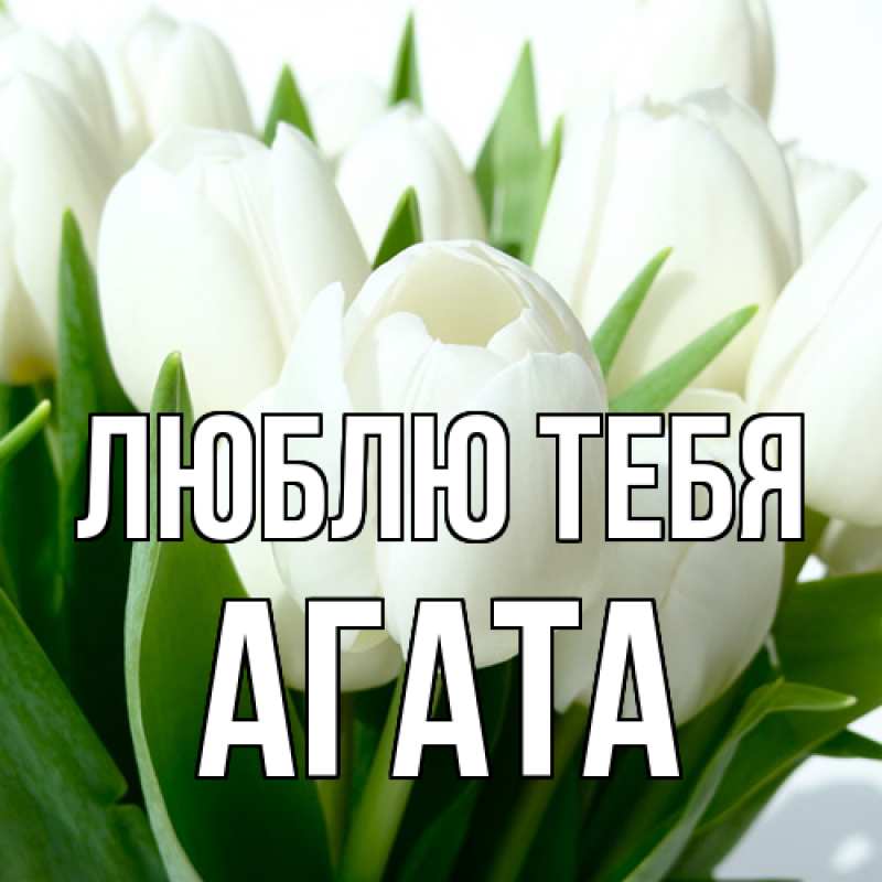 Картинка Люблю тебя, Агата
