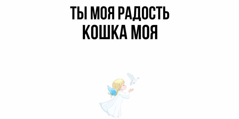 Картинка Ты моя радость, Кошка моя