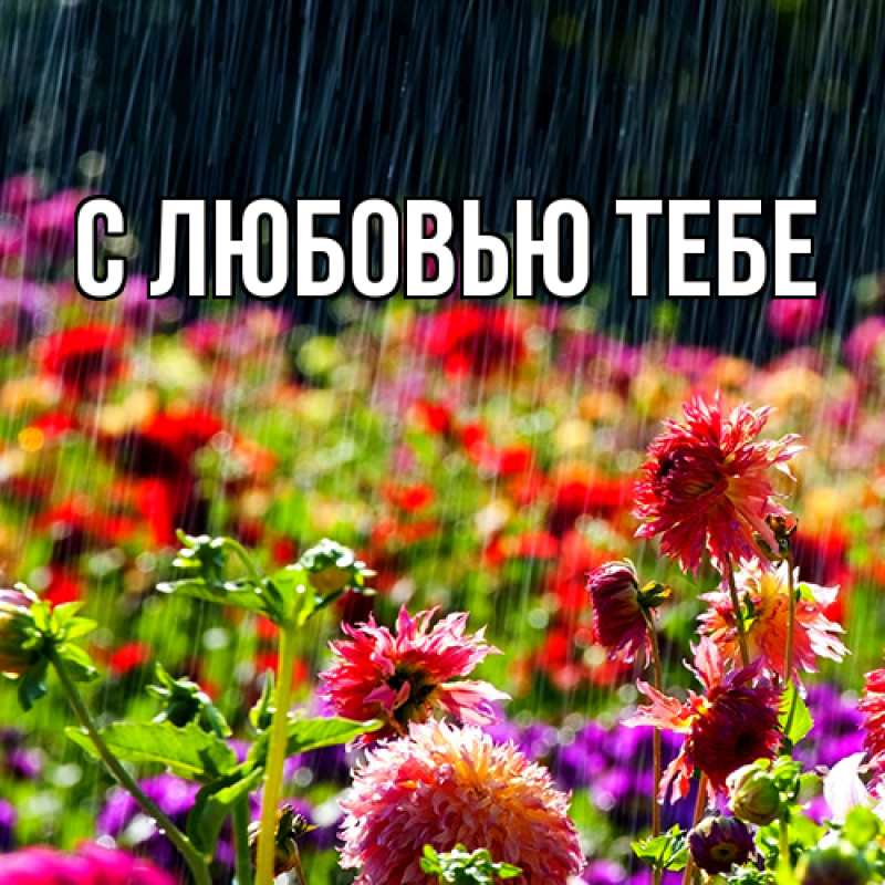 Картинка Люблю тебя, Май