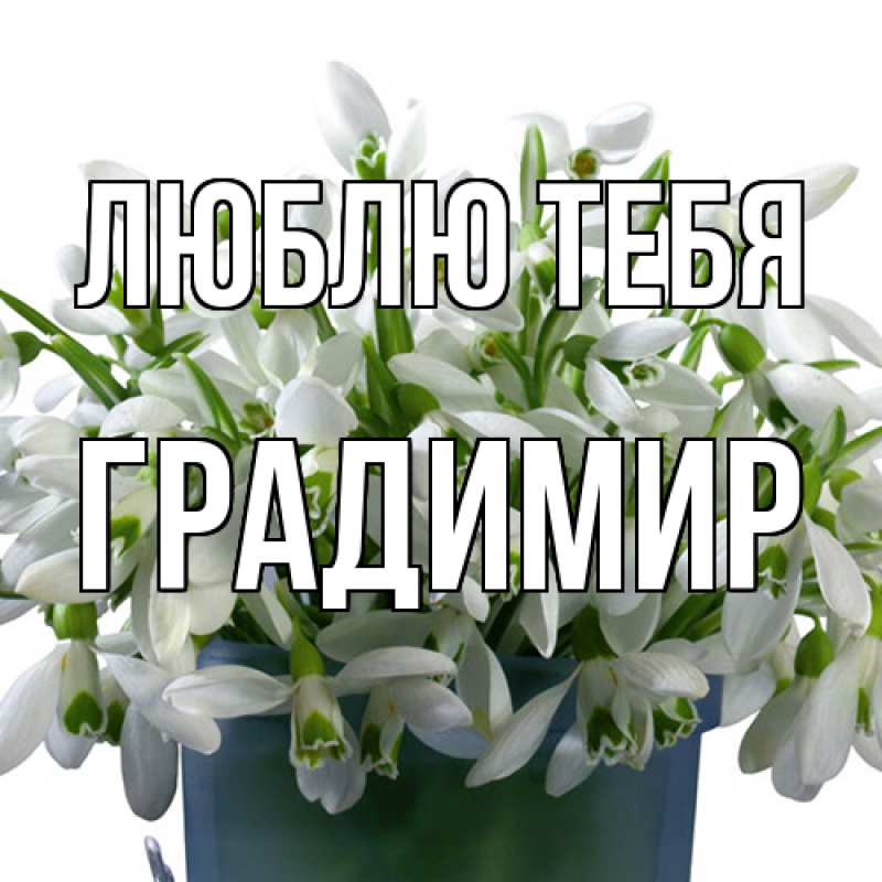 Картинка Люблю тебя, Градимир