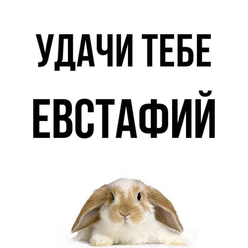 Открытка с именем, Евстафий, Удачи тебе