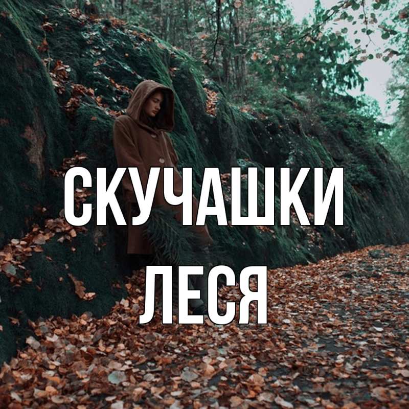 Картинка Скучашки, Леся