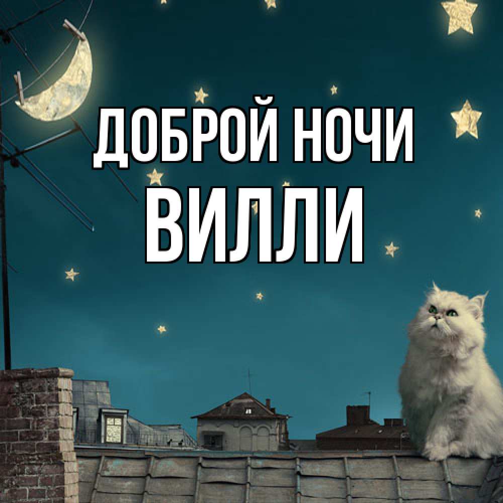Открытка на каждый день с именем, Вилли Доброй ночи белый кот сидит на крыше Прикольная открытка с пожеланием онлайн скачать бесплатно 