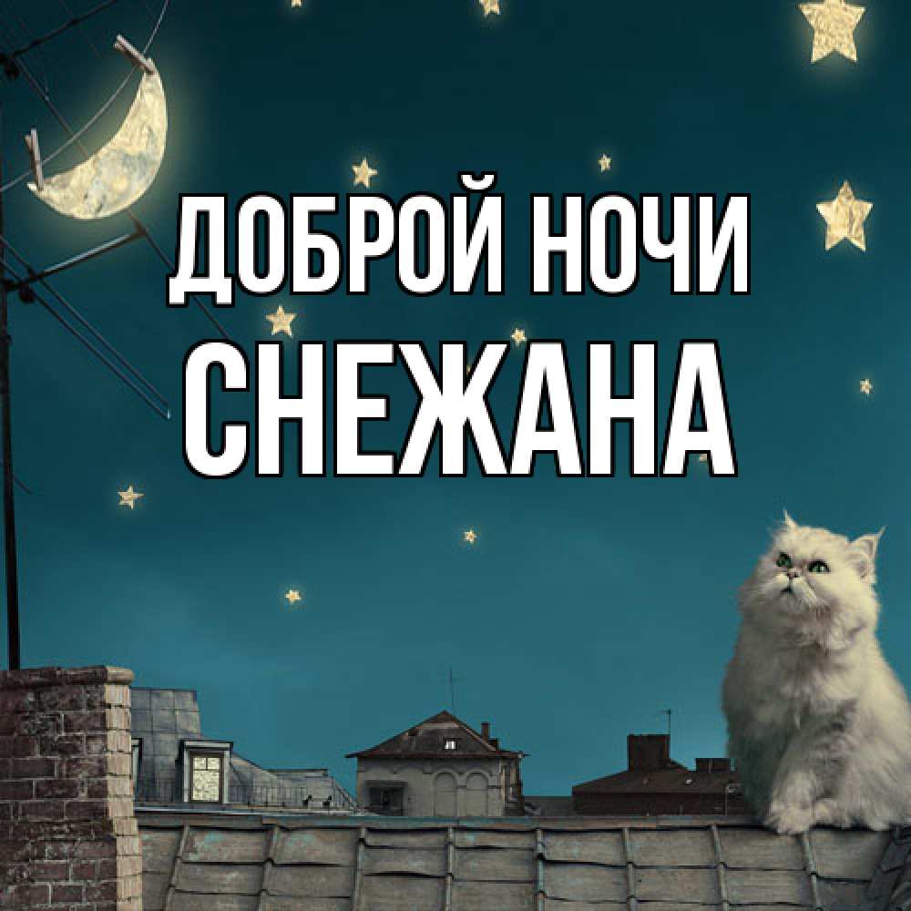 Открытка на каждый день с именем, Снежана Доброй ночи белый кот сидит на крыше Прикольная открытка с пожеланием онлайн скачать бесплатно 