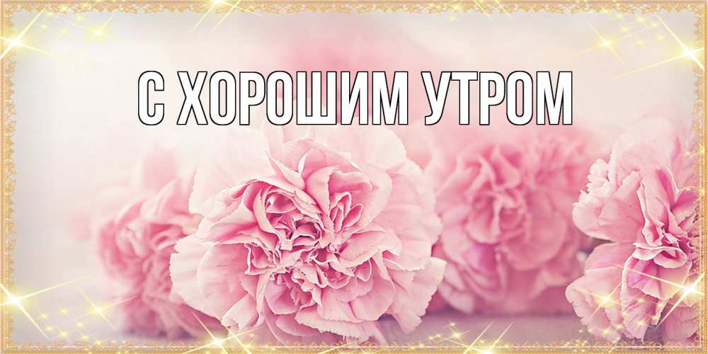 Открытка на каждый день с именем, Дима Люблю тебя розовые цветы на международный женский день Прикольная открытка с пожеланием онлайн скачать бесплатно 