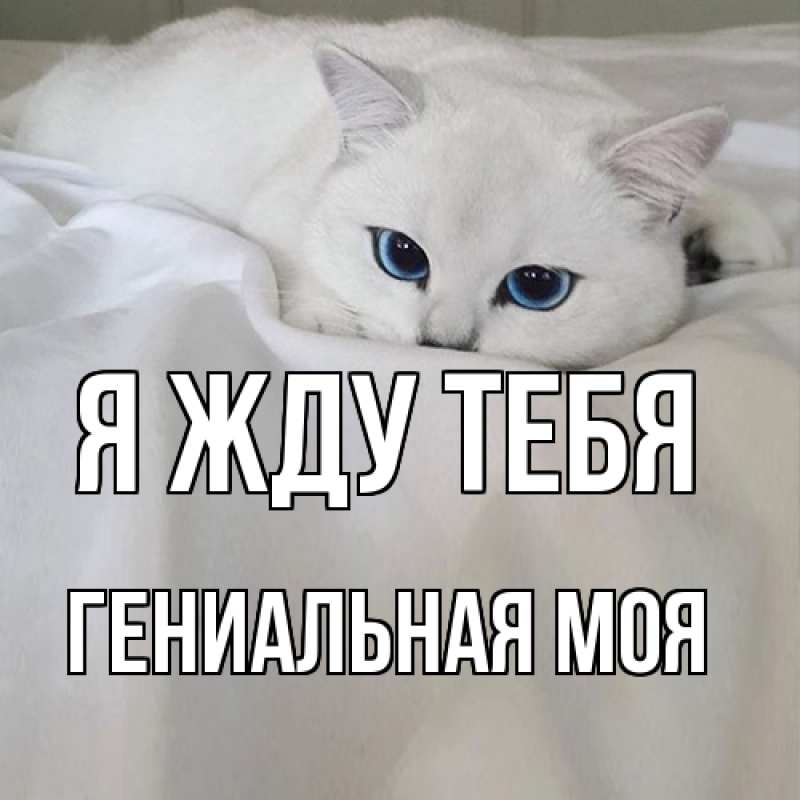 Открытка с именем, Гениальная моя, Я жду тебя