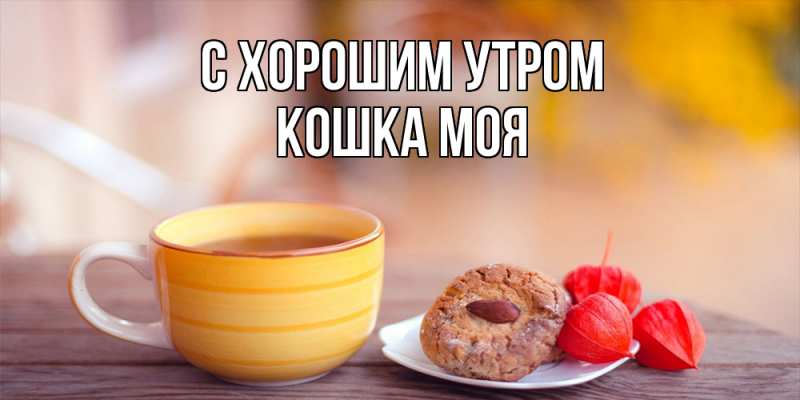 Картинка С хорошим утром, Кошка моя