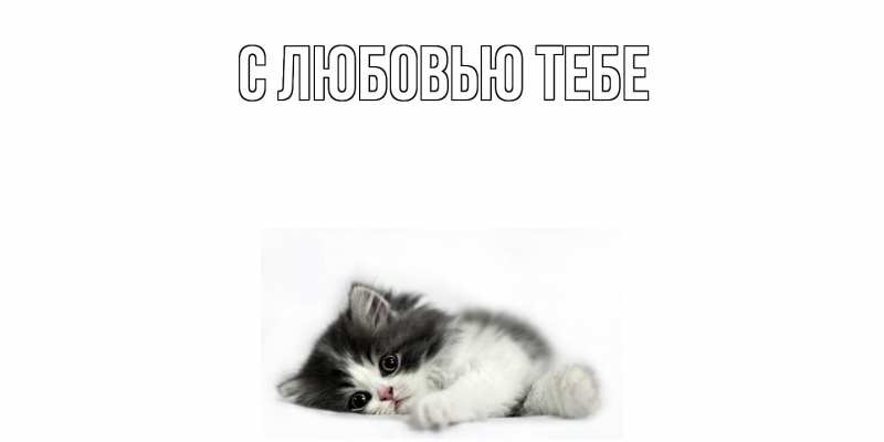 Открытка с именем, Элина, Скучашки