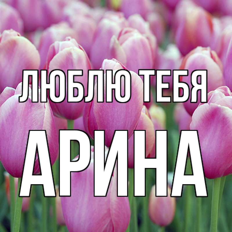 Картинка Люблю тебя, Арина