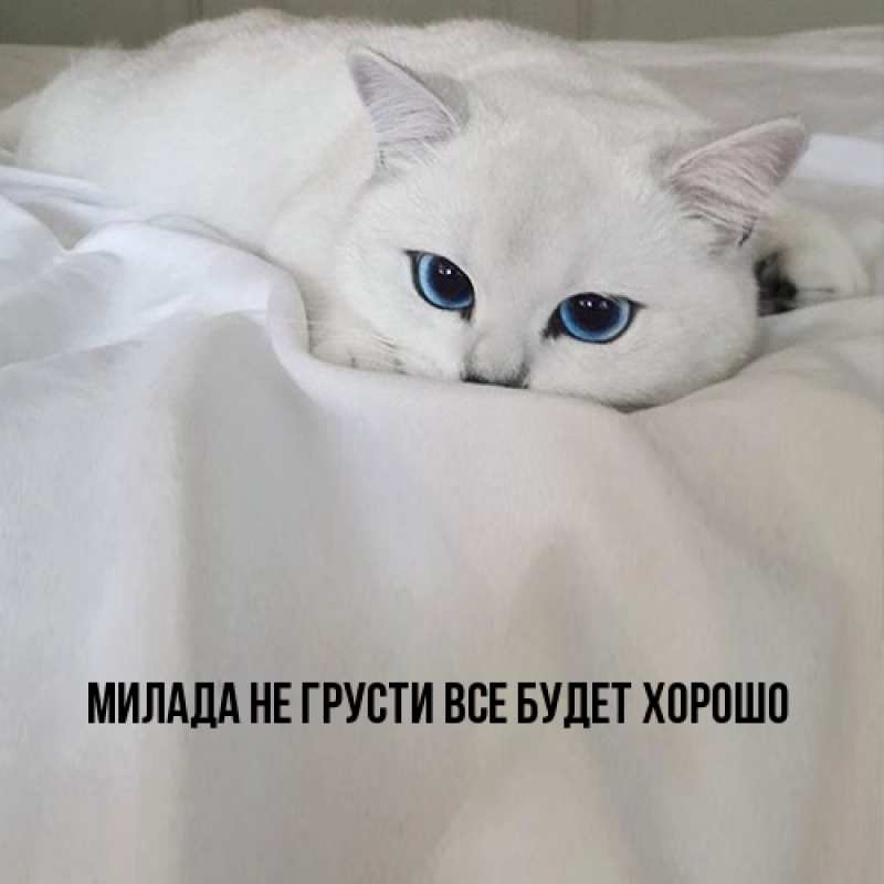 Картинка Не грусти, все будет хорошо, Милада