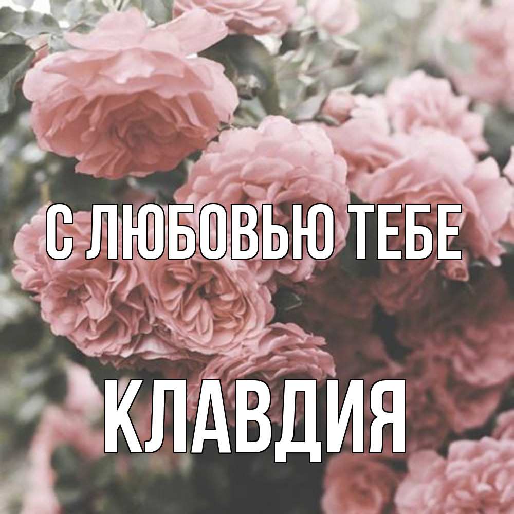 Открытка на каждый день с именем, Клавдия С любовью тебе розы 3 Прикольная открытка с пожеланием онлайн скачать бесплатно 