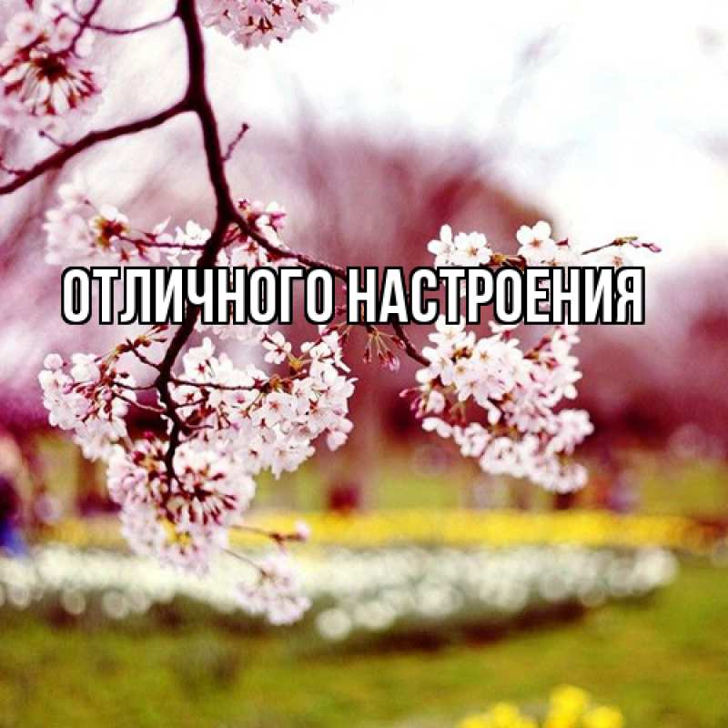 Картинка Люблю тебя, Габриэлла