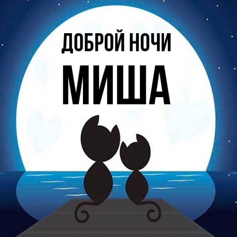 Картинка Доброй ночи, Миша