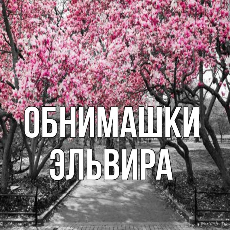 Картинка Обнимашки, Эльвира