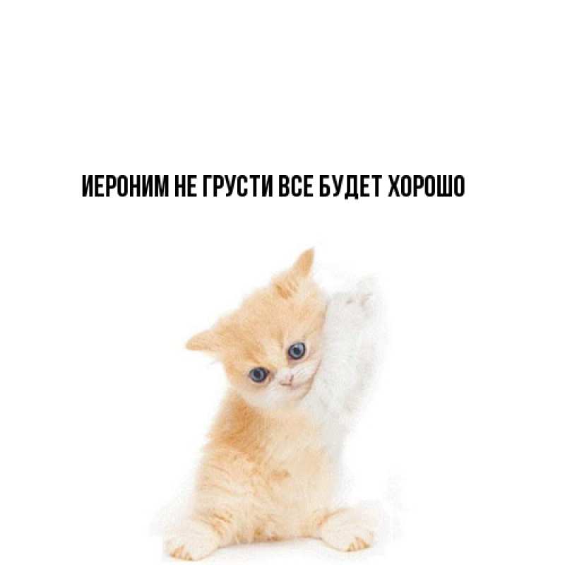 Открытка с именем, Иероним, Не грусти, все будет хорошо