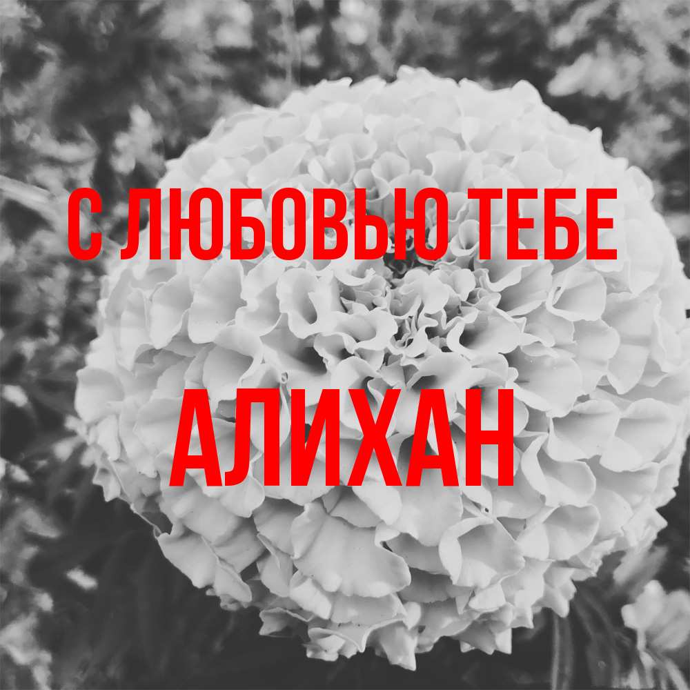 Открытка на каждый день с именем, Алихан С любовью тебе подпись Прикольная открытка с пожеланием онлайн скачать бесплатно 