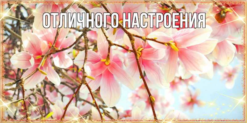 Картинка Люблю тебя, Габриэлла