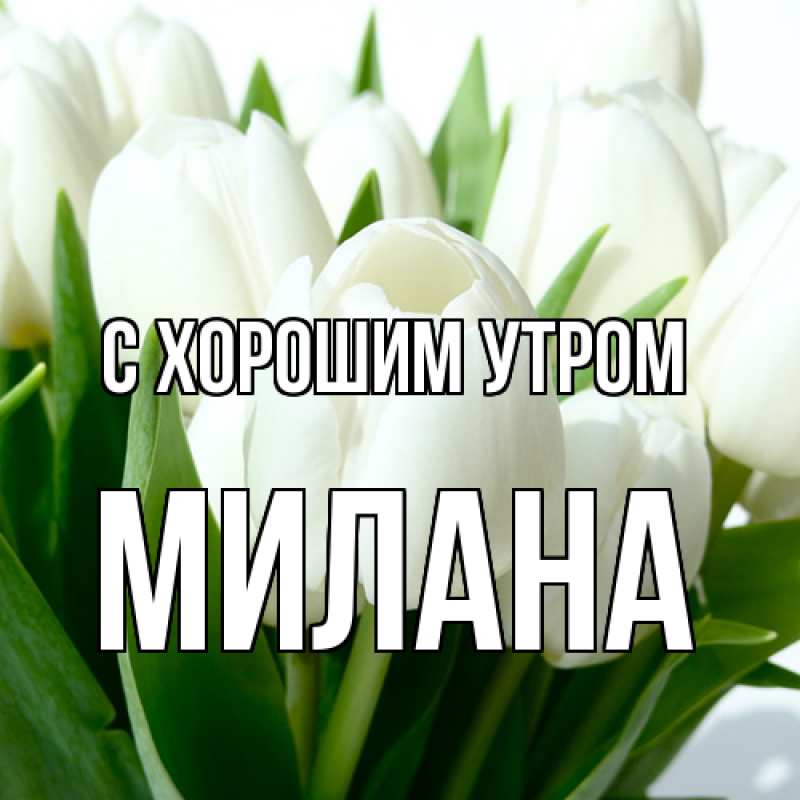 Картинка С хорошим утром, Милана
