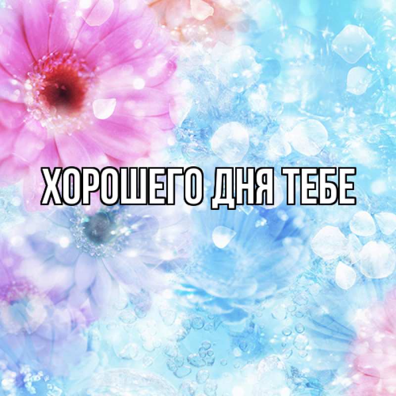 Картинка Люблю тебя, Любовь