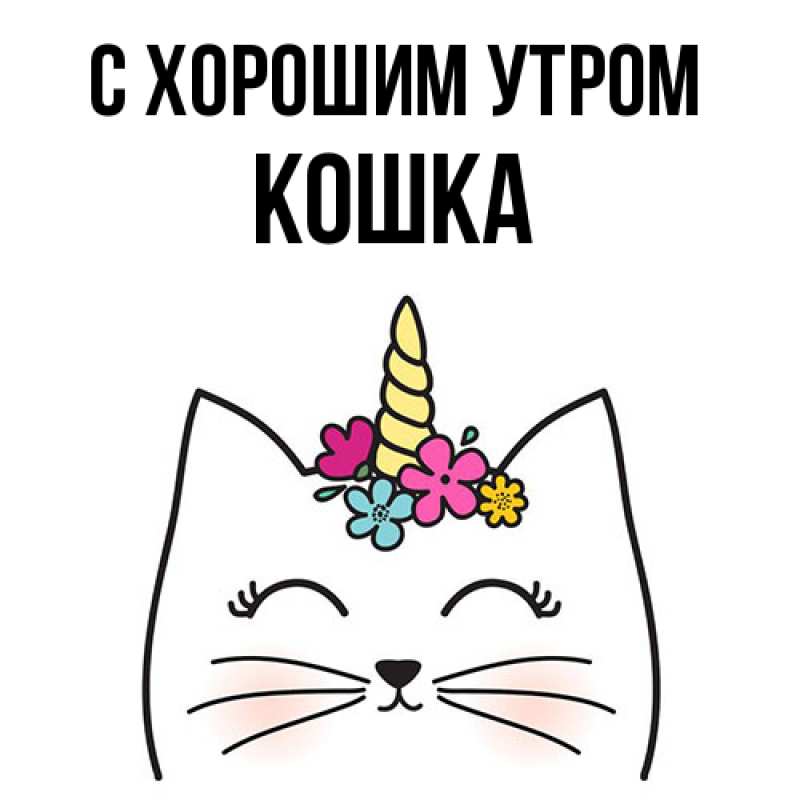 Картинка С хорошим утром, Кошка