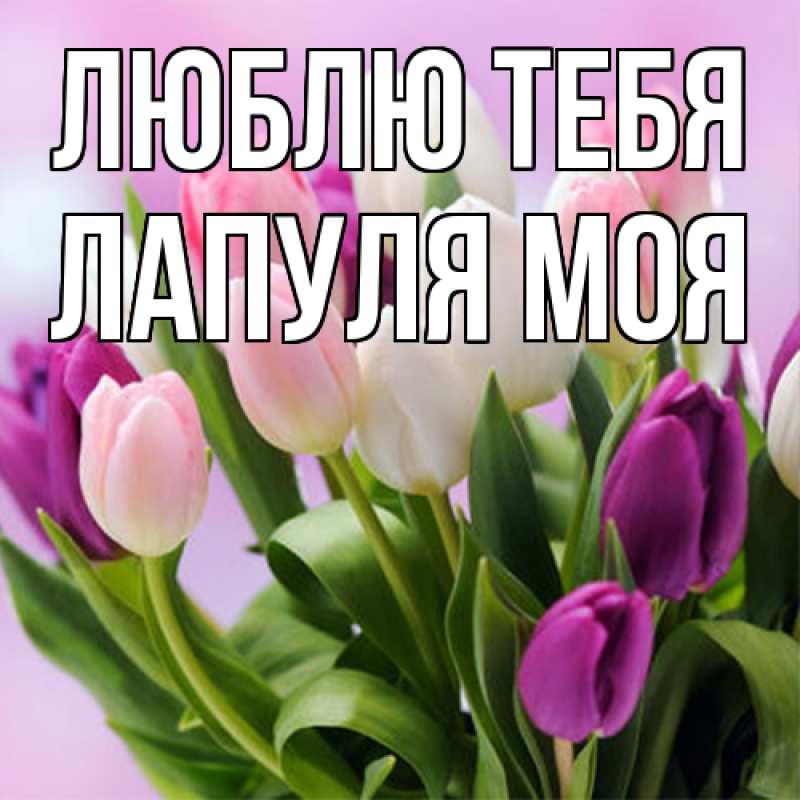 Картинка Люблю тебя, Лапуля моя