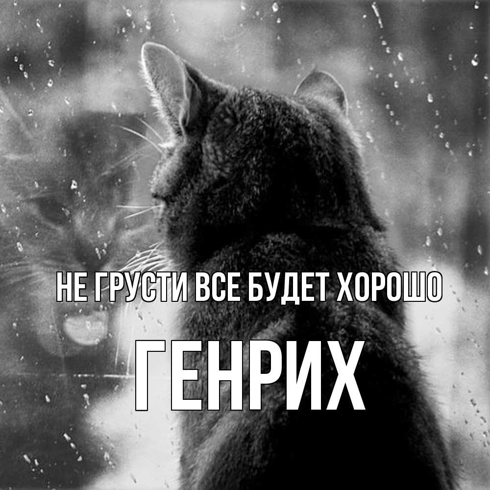 Открытка на каждый день с именем, Генрих Не грусти все будет хорошо отражение кота 1 Прикольная открытка с пожеланием онлайн скачать бесплатно 